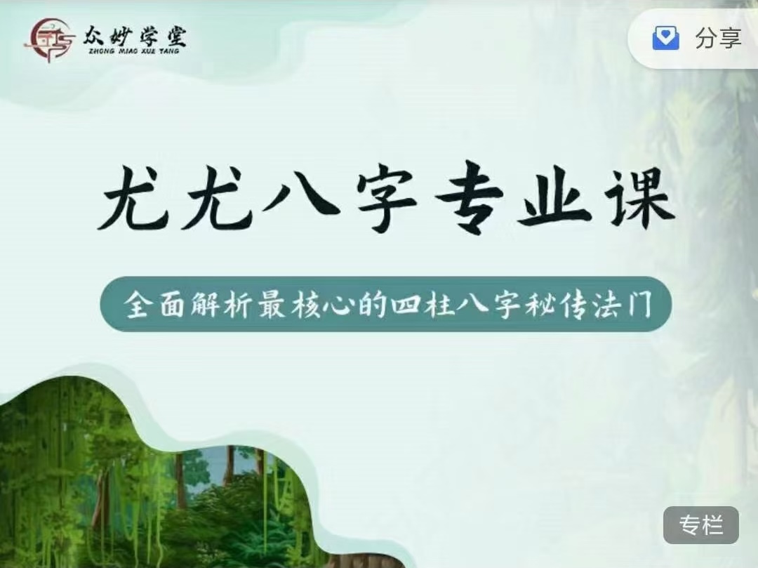 《众筹》众妙学堂 尤尤《八字专业课》