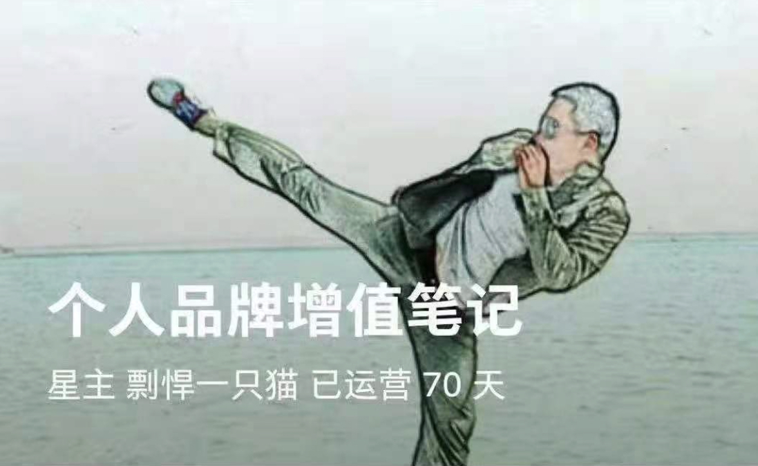 剽悍一只猫《个人品牌增值笔记》：猫叔的知识星球，IP时代每个人都是自己的品牌