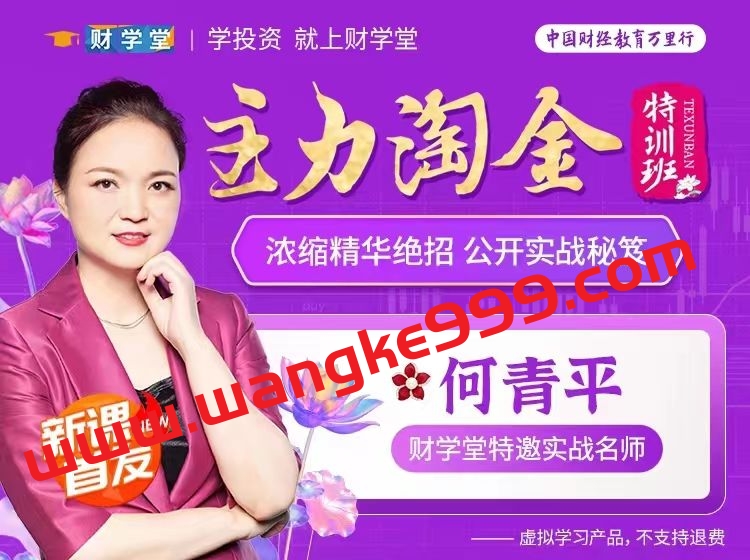 财学堂何青平《主力淘金特训班》