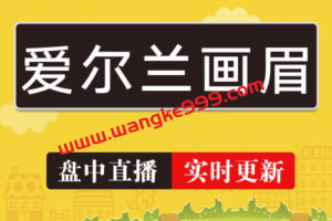 2024年雪球爱尔兰画眉解盘（持续更新）
