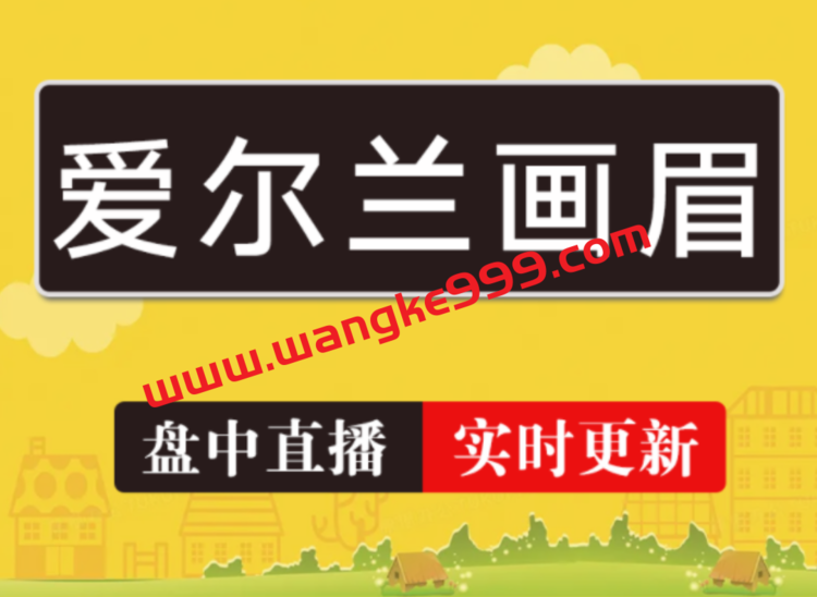 2024年雪球爱尔兰画眉解盘（持续更新）插图