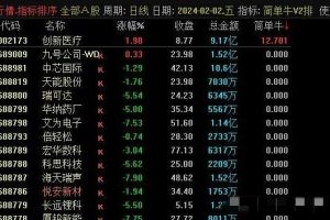 华仔竞价《简单牛V2》升级版专捉牛股 排序附图指标