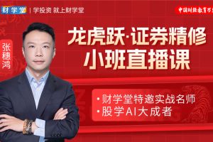 财学堂张穗鸿《龙虎跃/鸿雁·证券精修》小班直播课