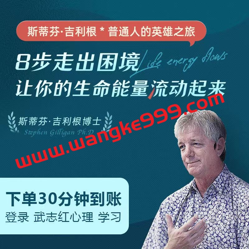 斯蒂芬·吉利根普通人的英雄之旅：8步走出困境，让你的生命能量流动起来