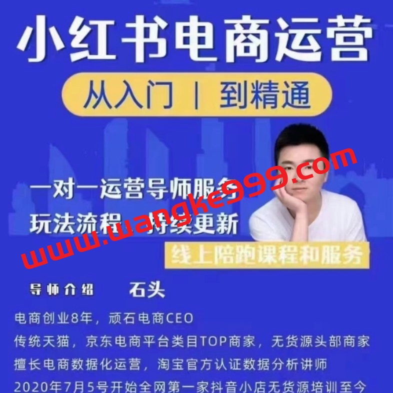 顽石小红书电商高阶运营课程，从入门到精通，玩法流程持续更新