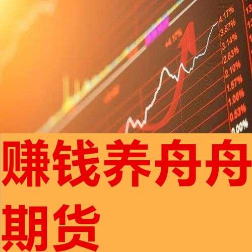 无为教育（奚百成）赚钱养舟舟期货培训视频