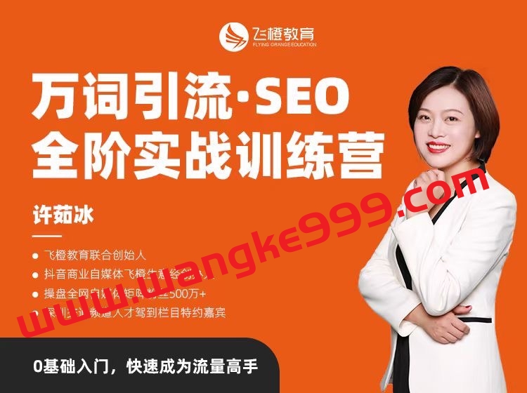 许茹冰·万词引流-SEO全阶实战训练营，0基础入门，快速成为流量高手