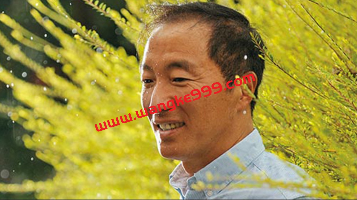 杨定一·全球静心·没有路的路