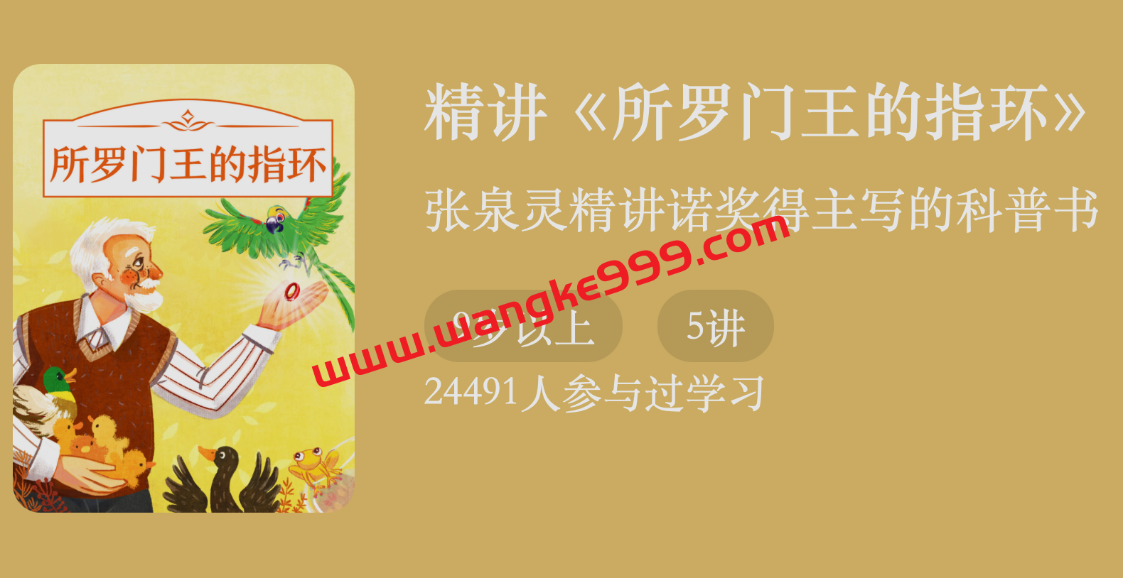 张泉灵·精讲《所罗门王的指环》