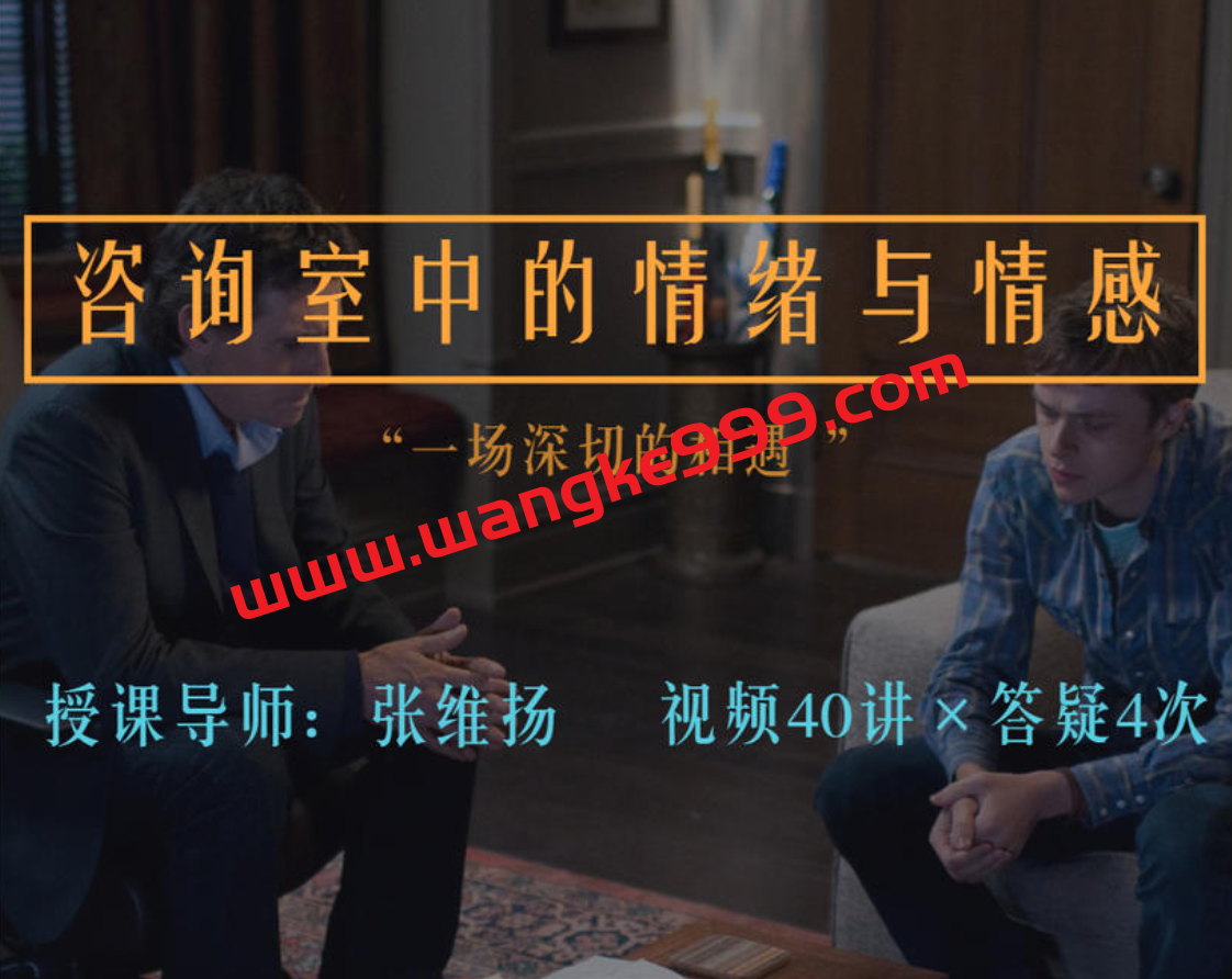 张维扬：咨询室中的情绪与情感