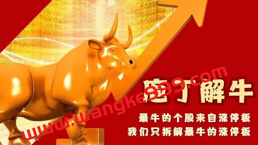 李晓光老师庖丁解牛视频课程