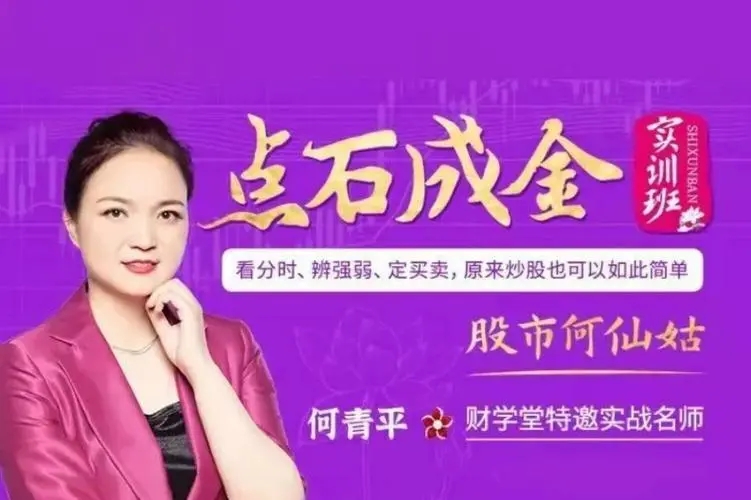 财学堂何青平6月-8月点石成金小班课+指标