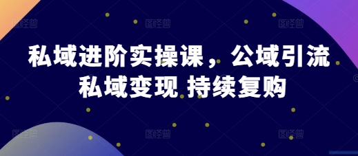 私域进阶实操课，公域引流 私域变现 持续复购-郑鹏飞-飞哥电商