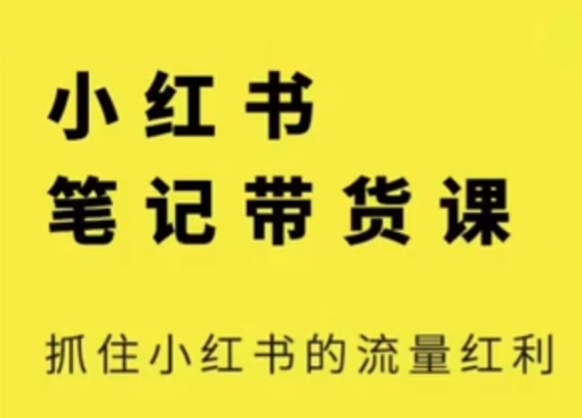 张宾电商小红书笔记带货课(更新11月)流量电商新机会，抓住小红书的流量红利