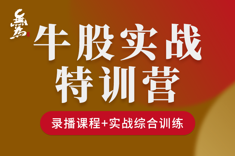 无为学院牛股实操特训营（1N）