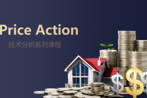 方方上PriceAction价格行为学边做边讲系列课裸K课程129节