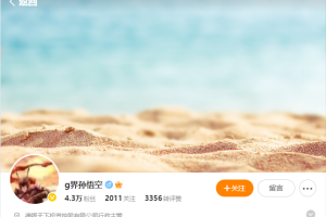 g界孙悟空2026年复盘+炒股技术