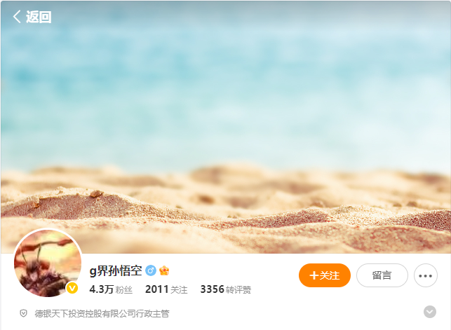 g界孙悟空2026年复盘+炒股技术插图