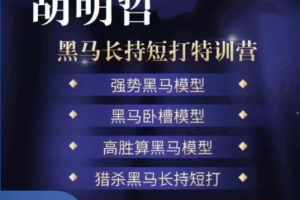 胡明哲-黑马长持短打特训营,长持短打交易模型