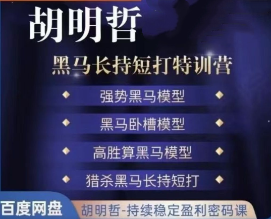 胡明哲-黑马长持短打特训营，长持短打交易模型插图