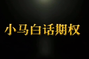 小马白话期权1-4季