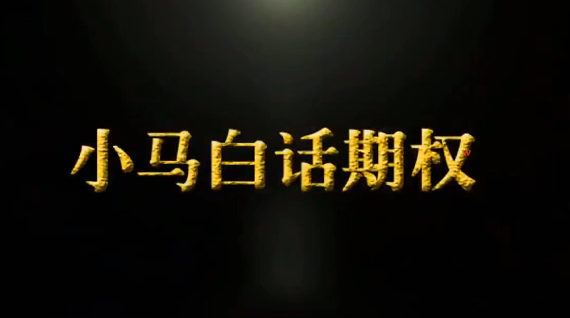 小马白话期权1-4季插图